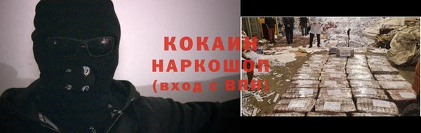 PSILOCYBIN Алзамай