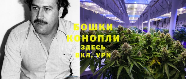 PSILOCYBIN Алзамай