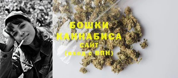 гашик Переславль-Залесский